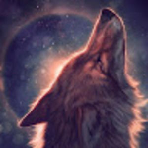 Meet your Posher, Nayeli